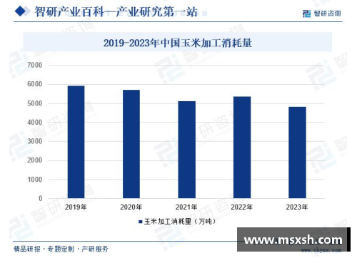 佰富彩全球体育产业的崛起与趋势分析 - 副本