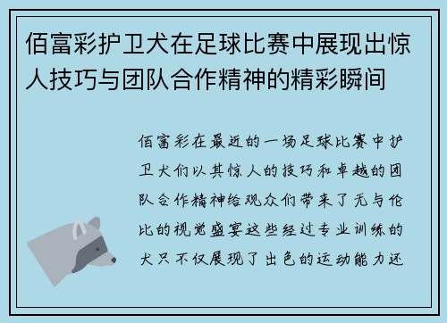 佰富彩护卫犬在足球比赛中展现出惊人技巧与团队合作精神的精彩瞬间